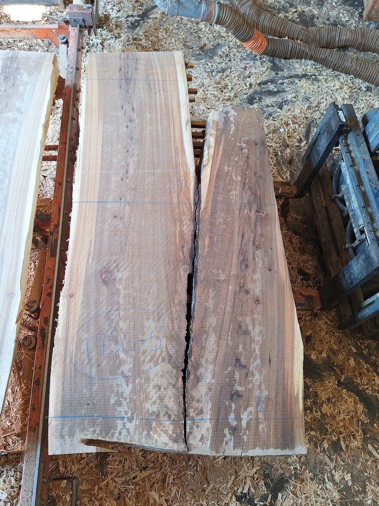 Plateau Orme 53 x 800-870 x 1880 mm de la boule 1756 - 5