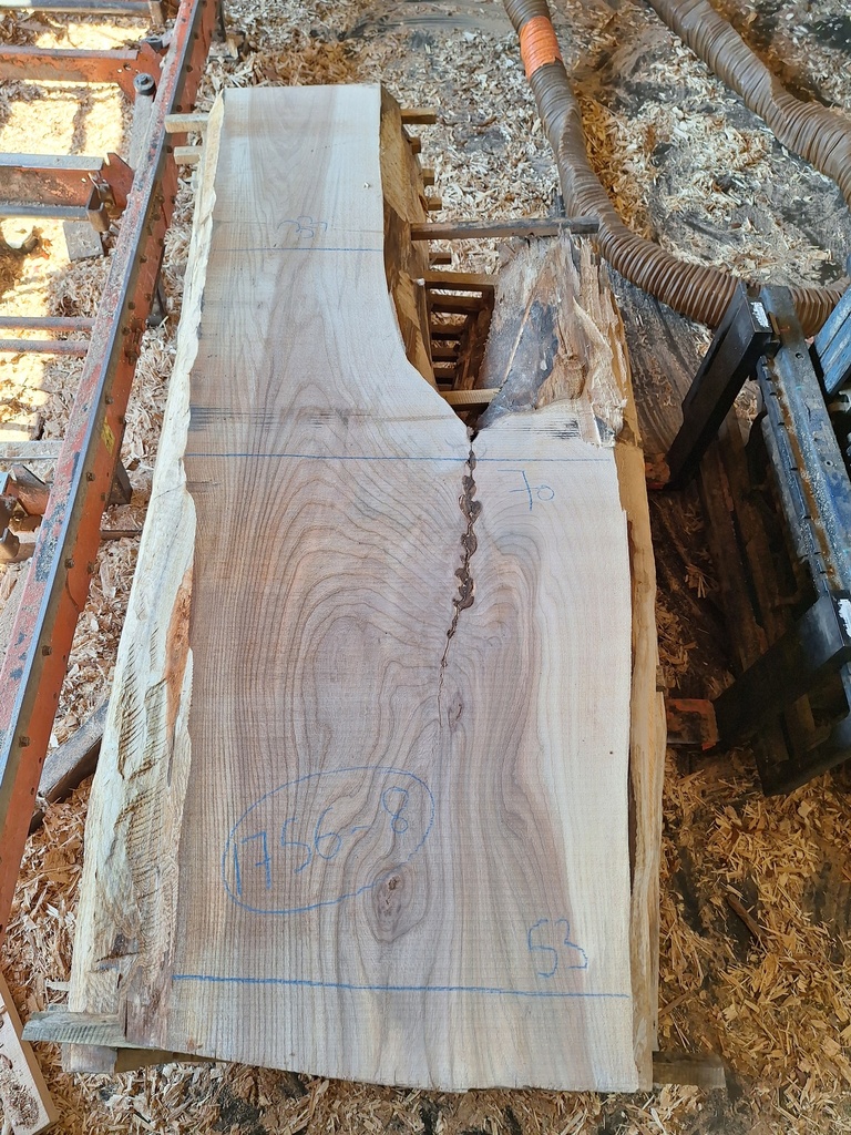 Plateau Orme 53 x 530-700 x 1880 mm de la boule 1756 - 8