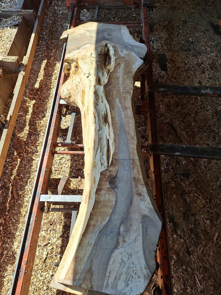 Plateau Noyer 53 x 180-700 x 2350 mm de la boule 1757 - 1