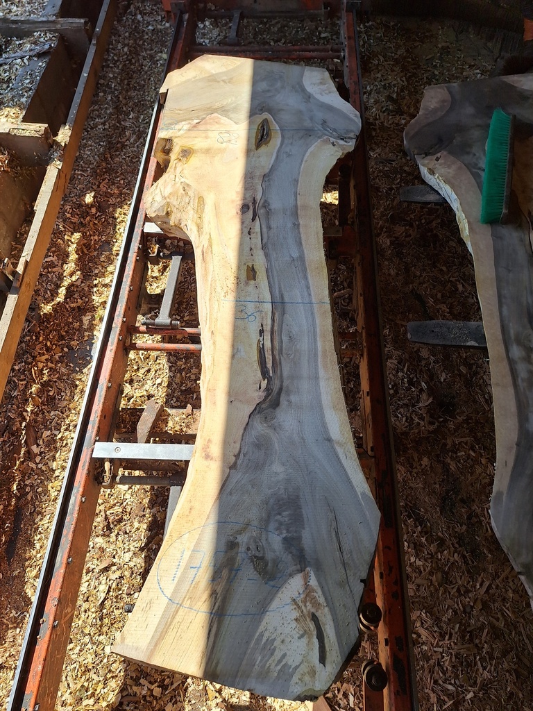 Plateau Noyer 53 x 360-820 x 2350 mm de la boule 1757 - 2