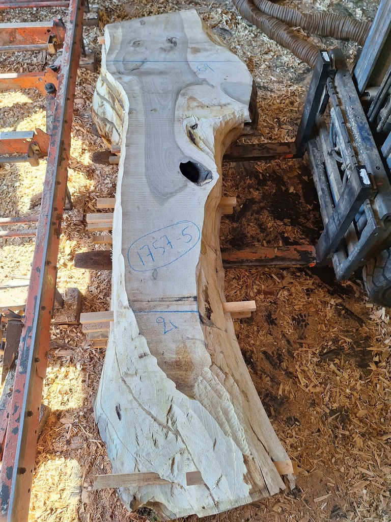 Plateau Noyer 53 x 210-690 x 2080 mm de la boule 1757 - 5