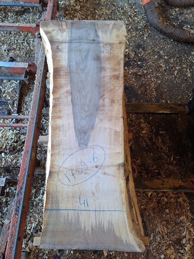 Plateau Noyer 53 x 410-560 x 1250 mm de la boule 1758 - 6