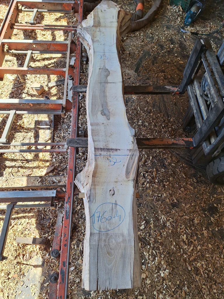 Plateau Noyer 43 x 230-320 x 3000 mm de la boule 1760 - 4