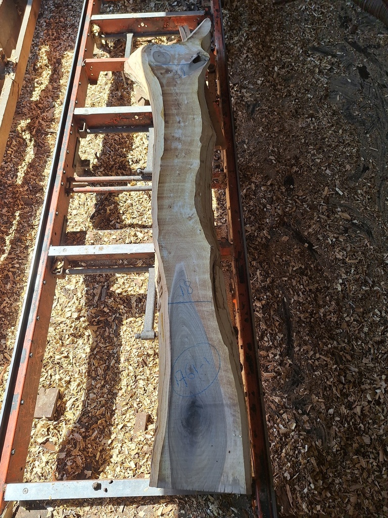 Plateau Noyer 43 x 180-320 x 2300 mm de la boule 1761 - 1