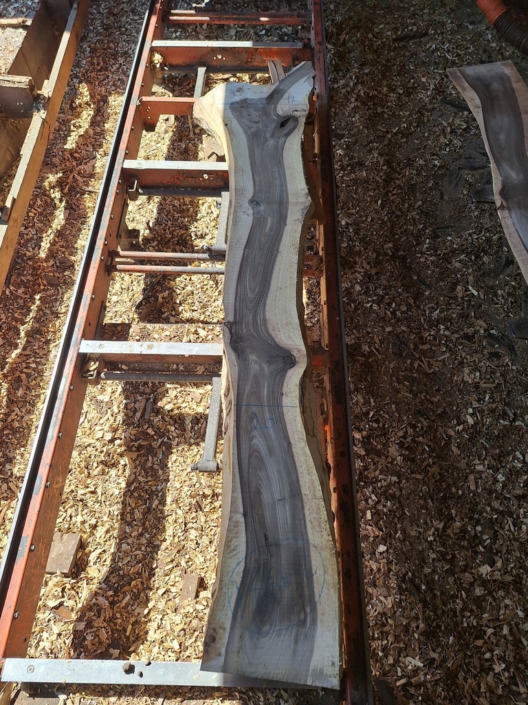 Plateau Noyer 43 x 200-420 x 2300 mm de la boule 1761 - 2