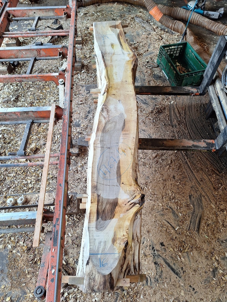 Plateau Noyer 43 x 160-290 x 2290 mm de la boule 1767 - 4