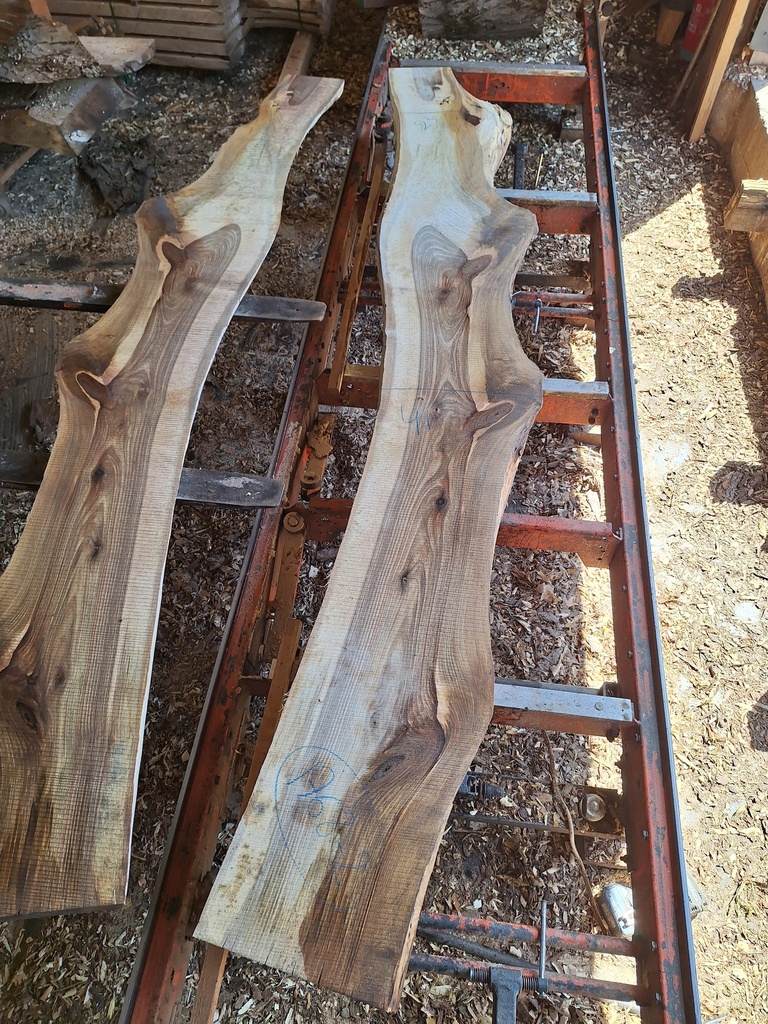 Plateau Noyer 43 x 230-410 x 3000 mm de la boule 1768 - 2