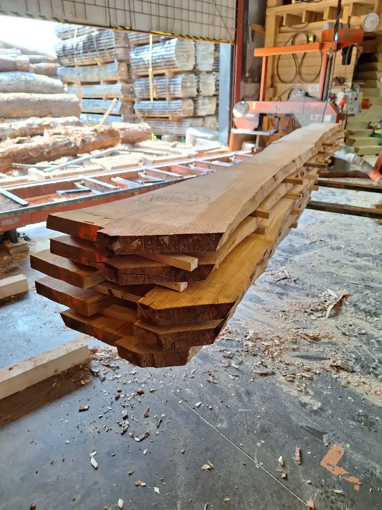 Boule Bouleau - 1880