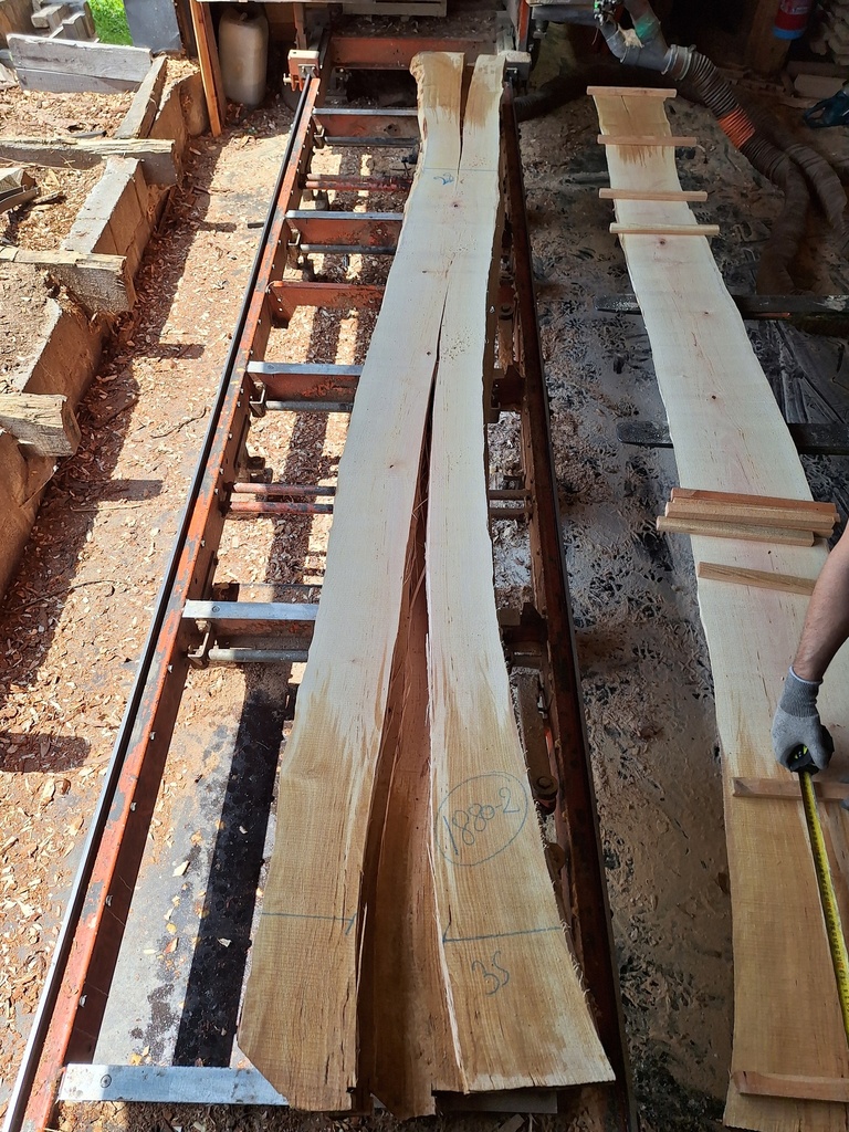 Plateau Bouleau 43 x 280-350 x 4100 mm de la boule 1880 - 2