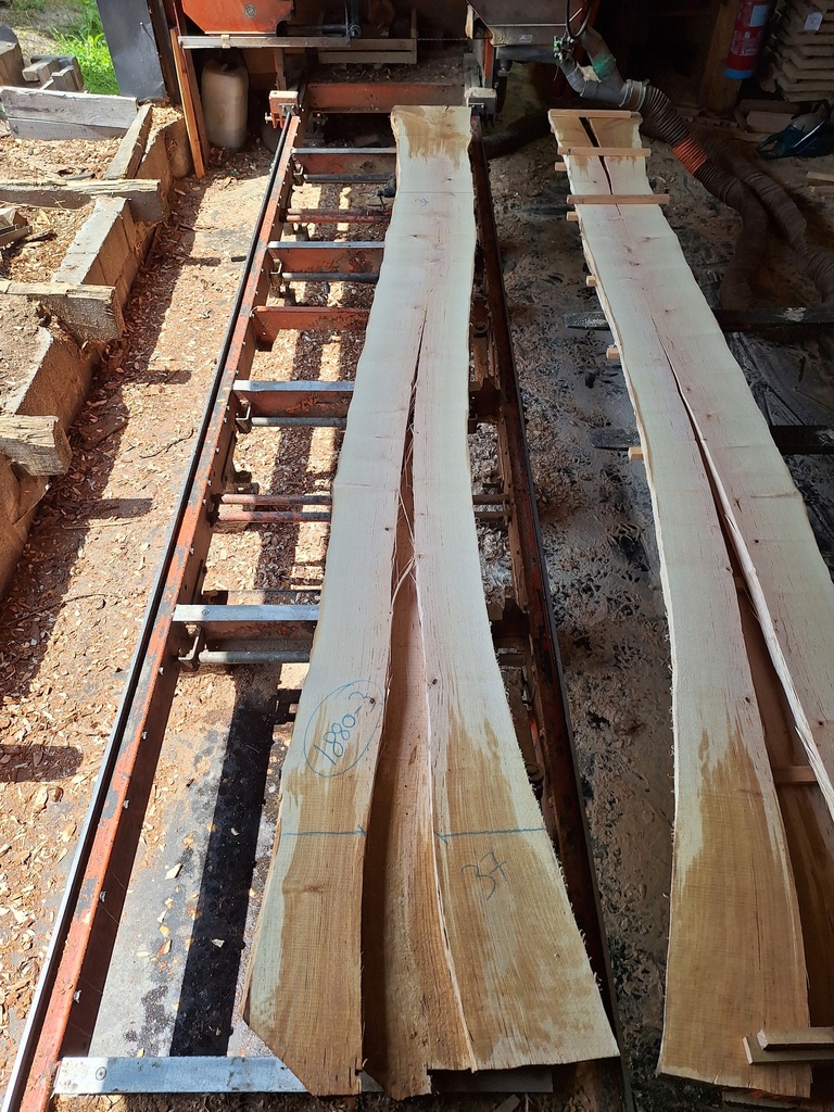 Plateau Bouleau 43 x 310-370 x 4100 mm de la boule 1880 - 3