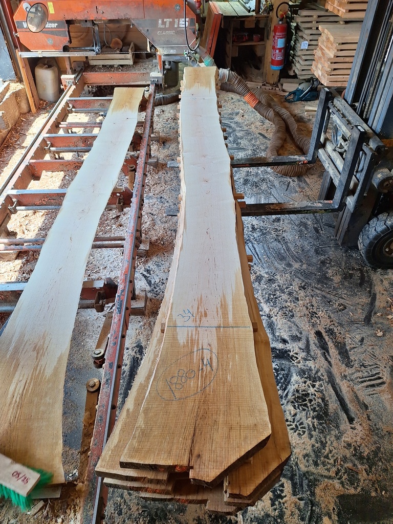 Plateau Bouleau 43 x 310-340 x 4100 mm de la boule 1880 - 4