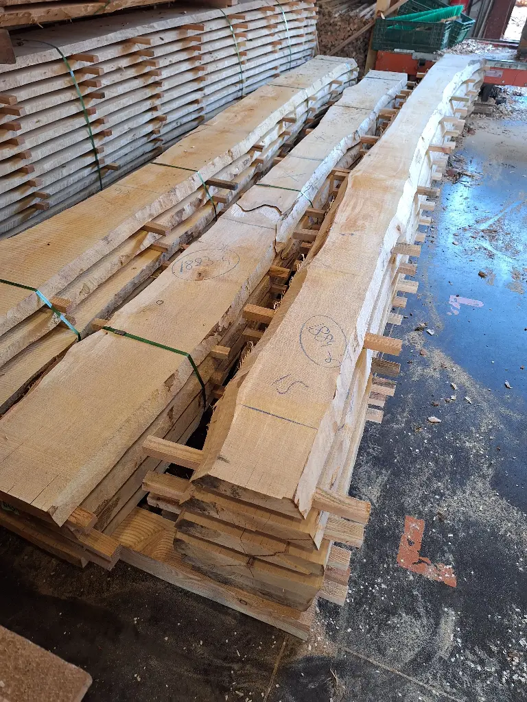 Boule Bouleau - 1883