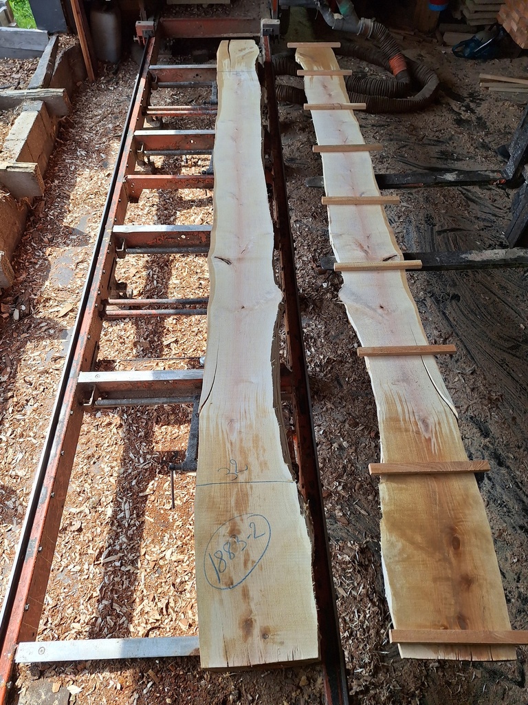 Plateau Bouleau 43 x 260-320 x 4090 mm de la boule 1883 - 2