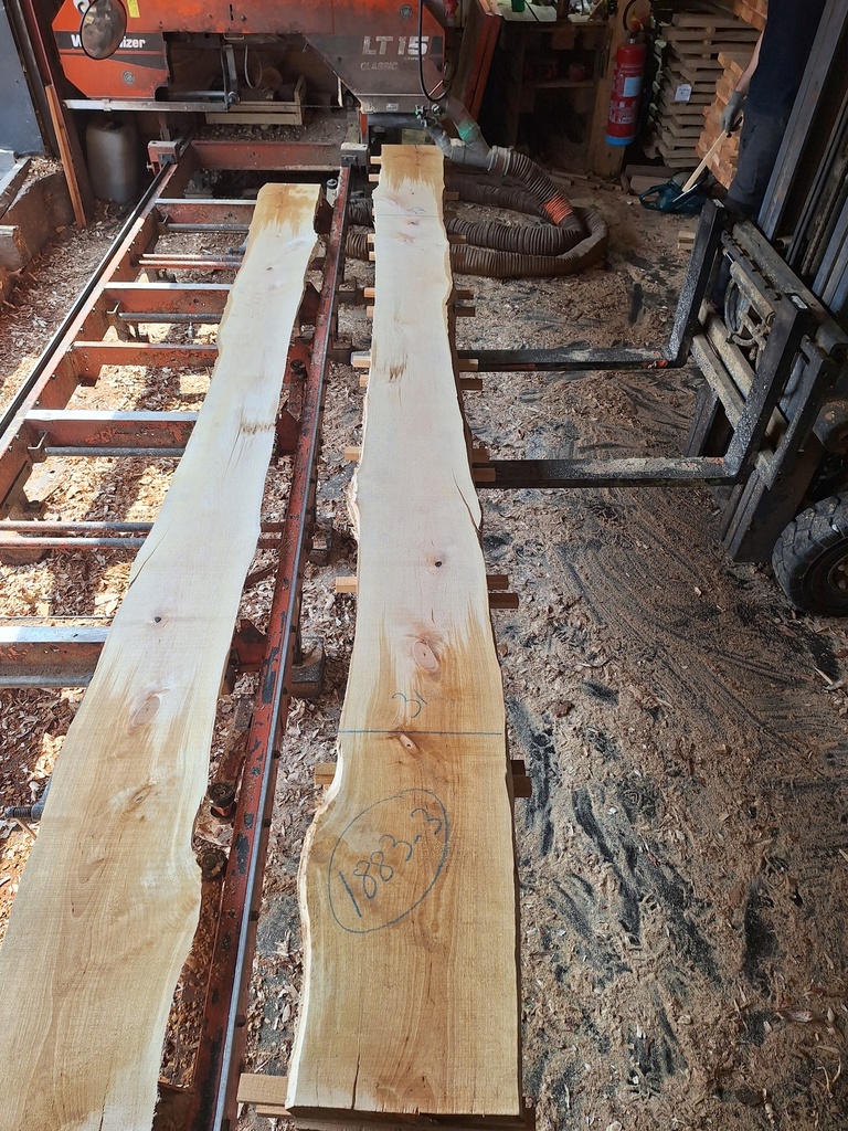 Plateau Bouleau 43 x 270-310 x 4090 mm de la boule 1883 - 3