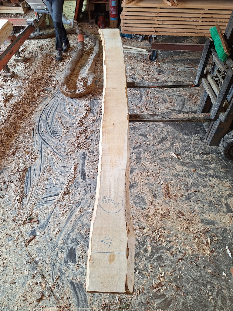 Plateau Bouleau 43 x 210-280 x 4080 mm de la boule 1884 - 1