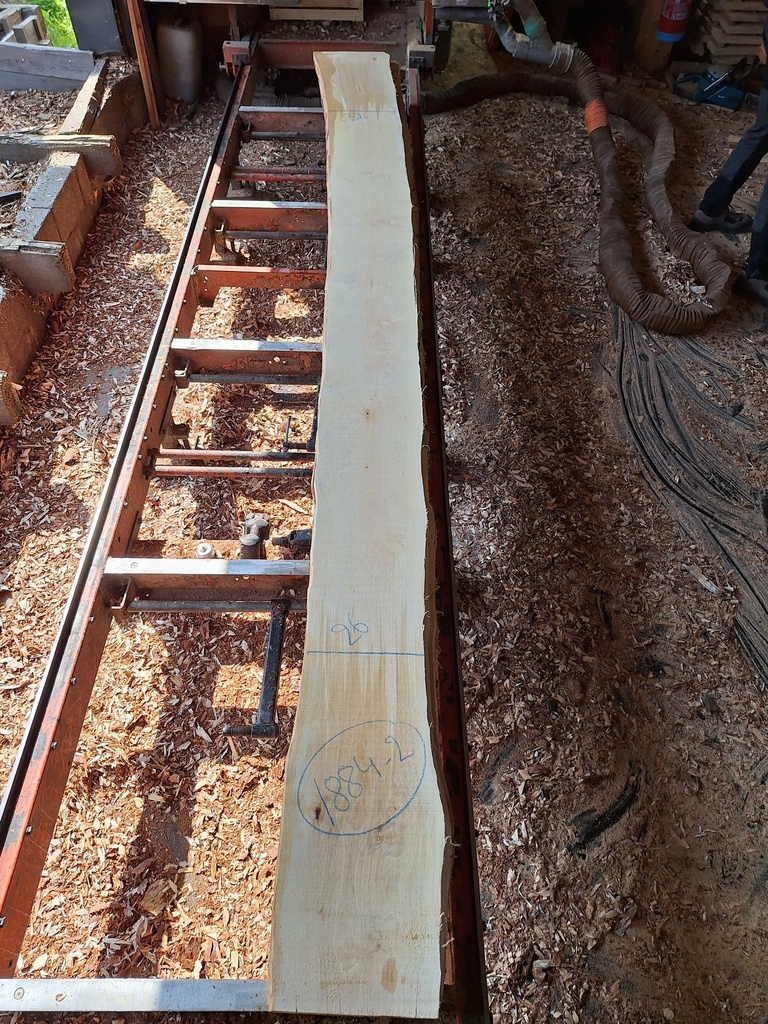 Plateau Bouleau 43 x 260-320 x 4080 mm de la boule 1884 - 2