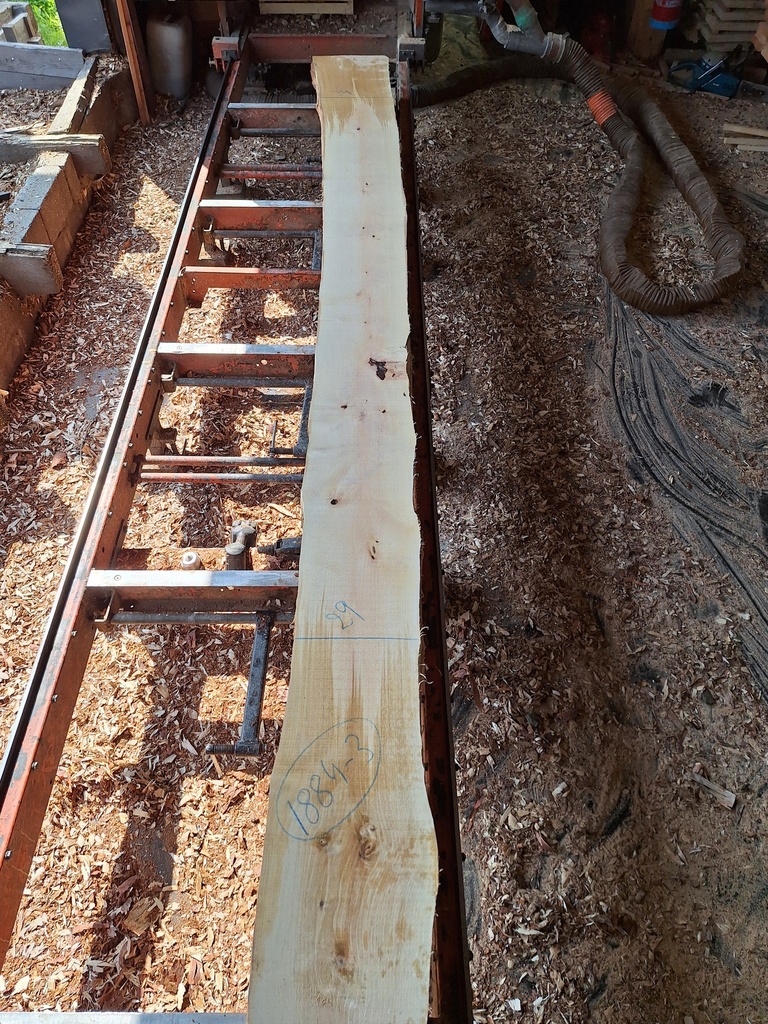 Plateau Bouleau 43 x 290-340 x 4080 mm de la boule 1884 - 3