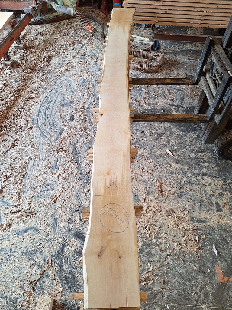 Plateau Bouleau 43 x 270-310 x 4080 mm de la boule 1884 - 4