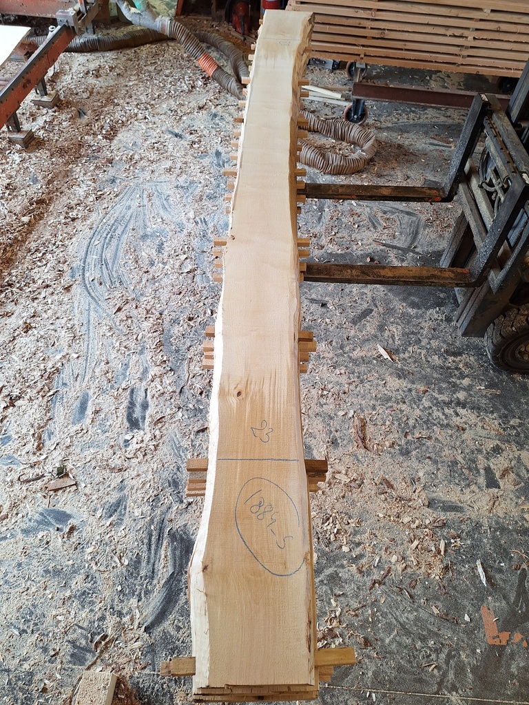 Plateau Bouleau 43 x 230-280 x 4080 mm de la boule 1884 - 5