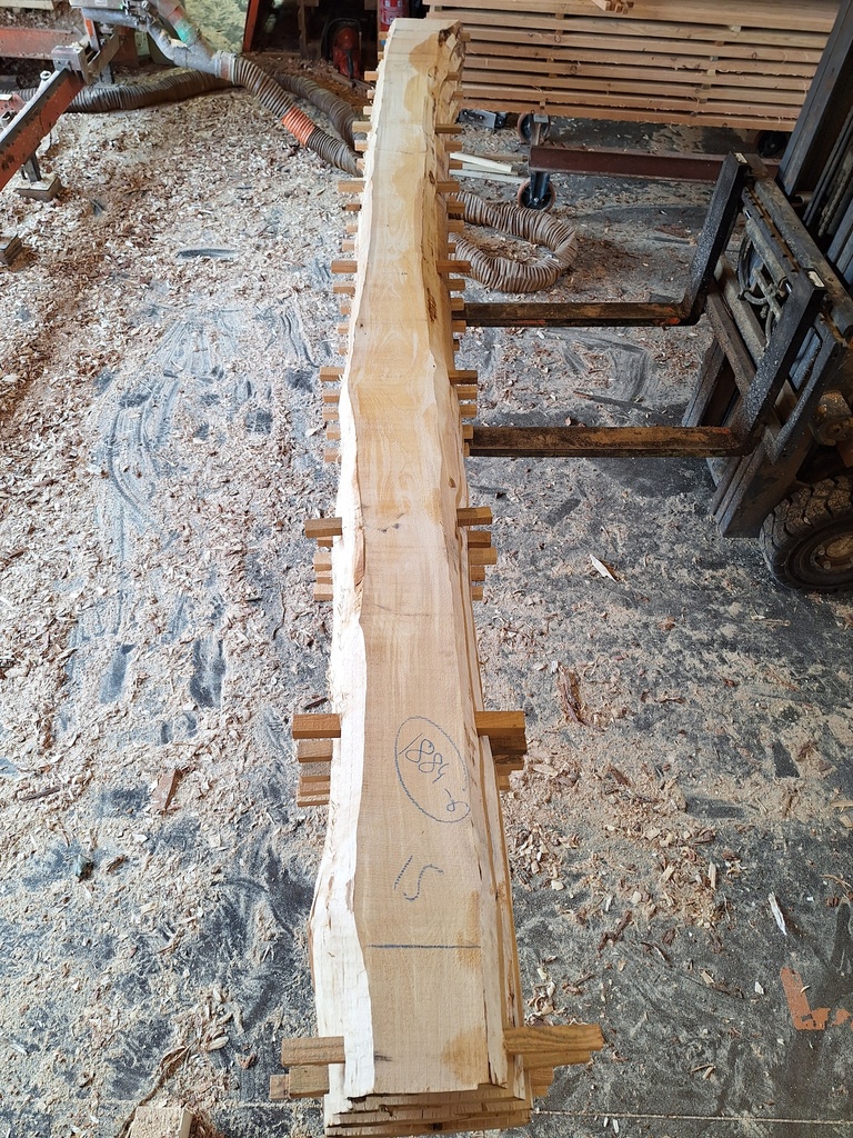 Plateau Bouleau 43 x 150-200 x 4080 mm de la boule 1884 - 6