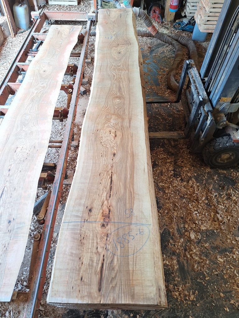 Plateau Frêne 63 x 480-580 x 4130 mm de la boule 1885 - 6