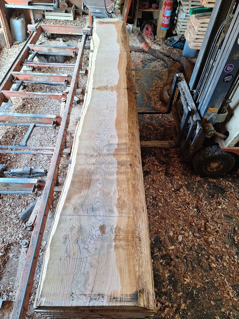 Plateau Frêne 63 x 310-470 x 4130 mm de la boule 1885 - 7