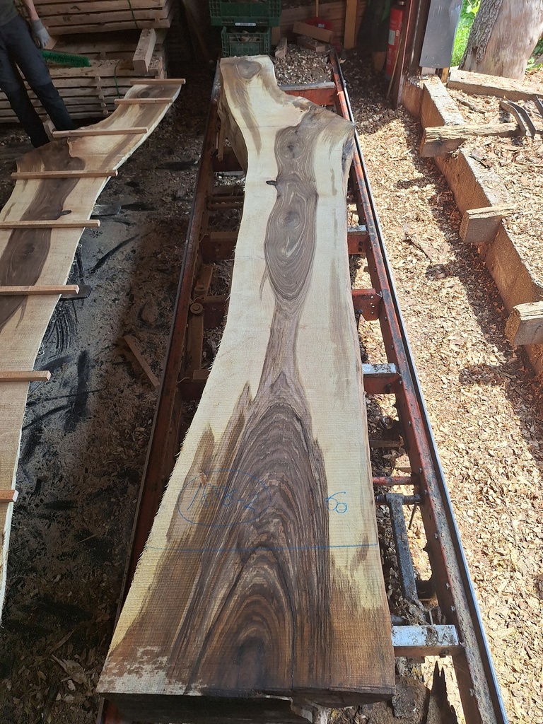 Plateau Noyer 53 x 330-600 x 3920 mm de la boule 1886 - 2