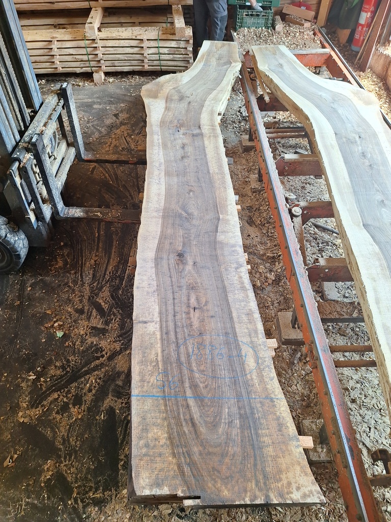 Plateau Noyer 53 x 370-560 x 3920 mm de la boule 1886 - 4