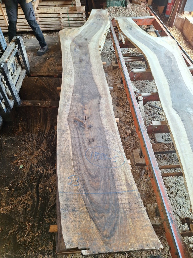 Plateau Noyer 53 x 360-530 x 3920 mm de la boule 1886 - 5