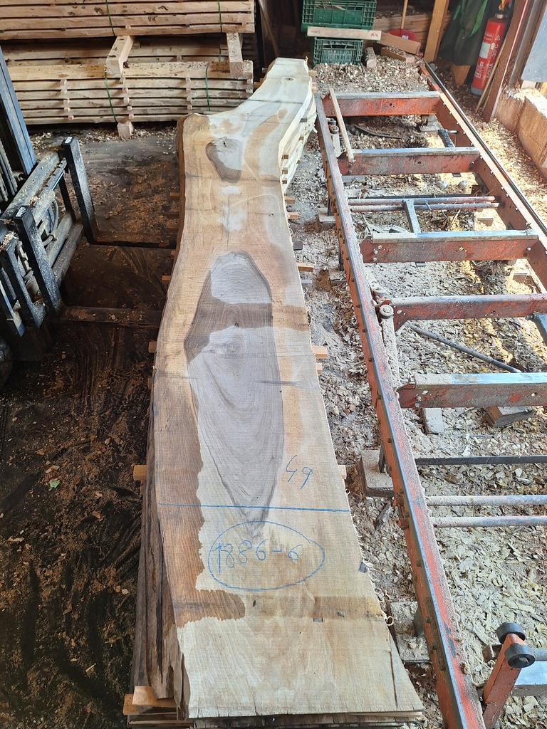 Plateau Noyer 53 x 270-490 x 3920 mm de la boule 1886 - 6