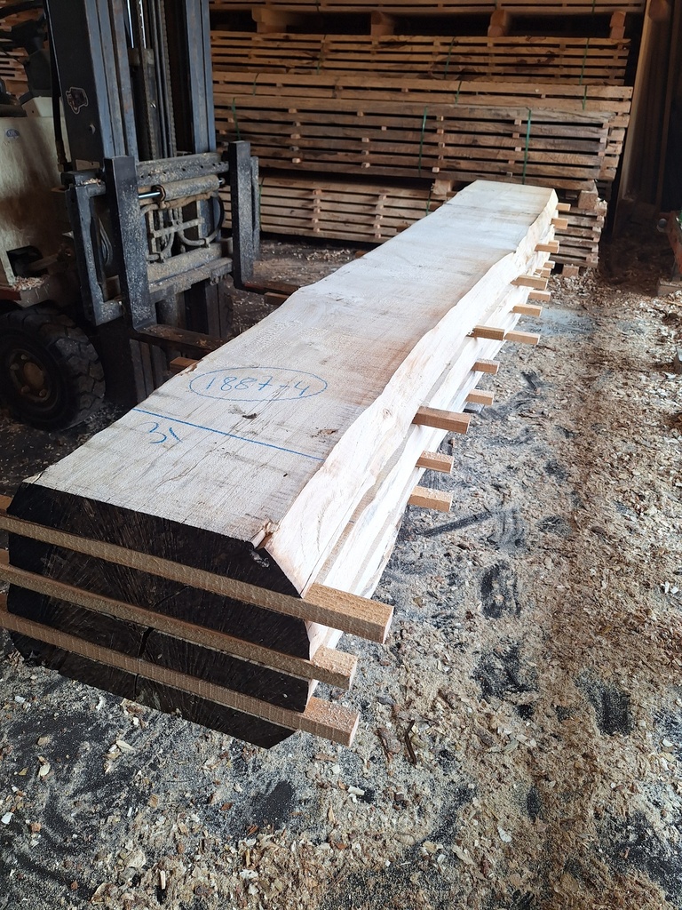 Boule Marronnier - 1887