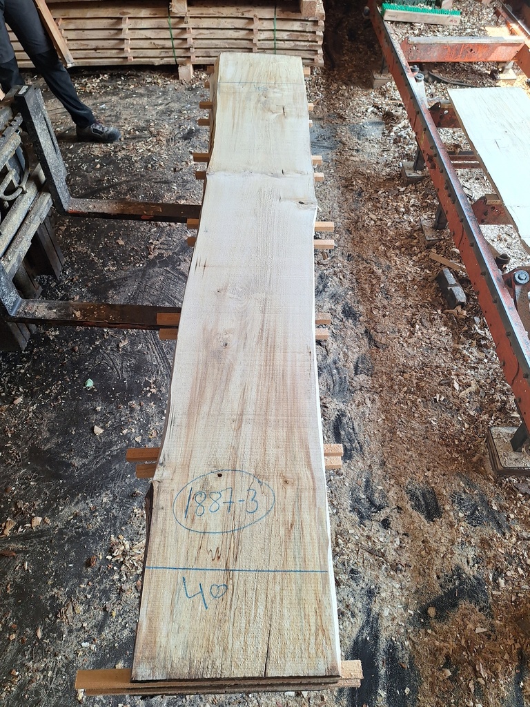 Plateau Marronnier 63 x 400-450 x 2950 mm de la boule 1887 - 3