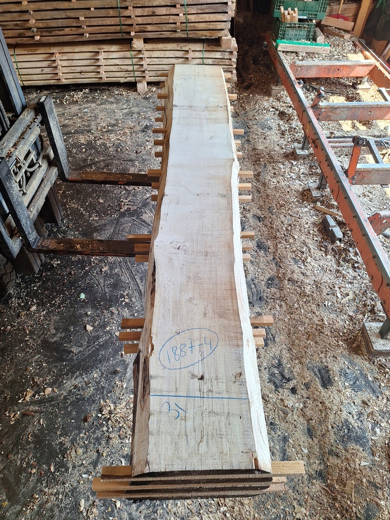 [PL-MAR-1887-4] Plateau Marronnier 63 x 310-370 x 2950 mm de la boule 1887 - 4