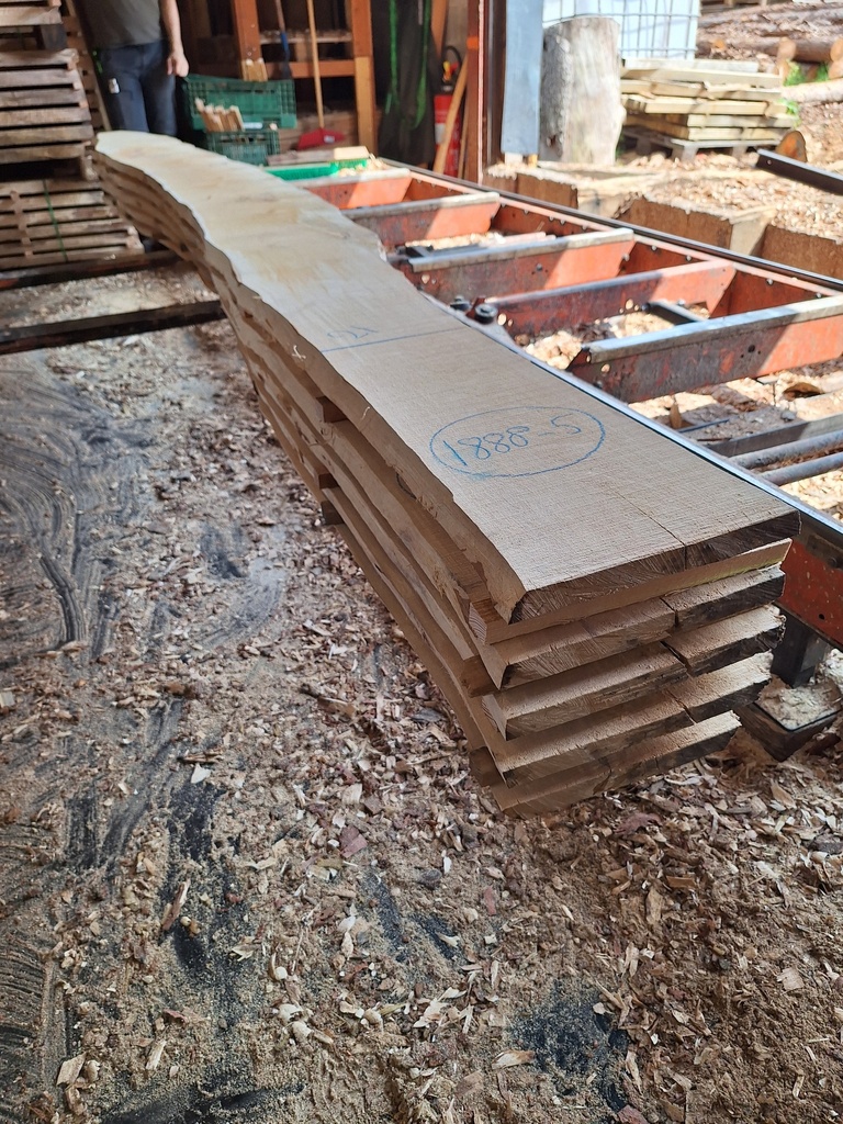 Boule Bouleau - 1888