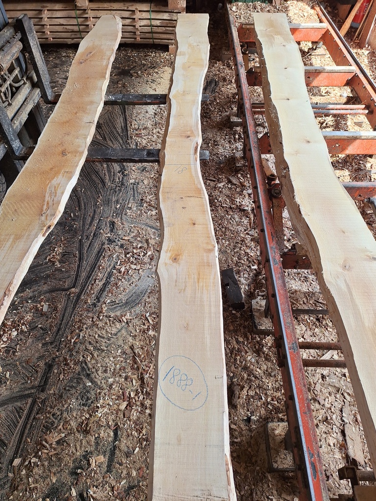 Plateau Bouleau 28 x 180-290 x 4070 mm de la boule 1888 - 1