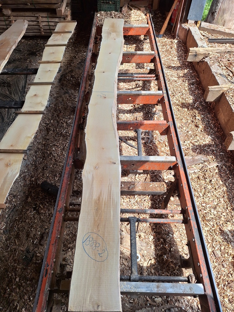 Plateau Bouleau 28 x 230-300 x 4070 mm de la boule 1888 - 2