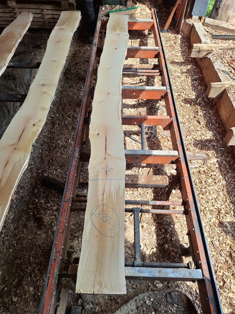 Plateau Bouleau 28 x 280-320 x 4070 mm de la boule 1888 - 3