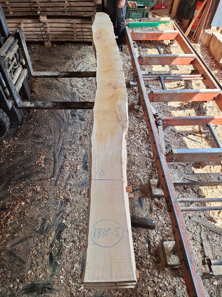 Plateau Bouleau 28 x 210-290 x 4070 mm de la boule 1888 - 5