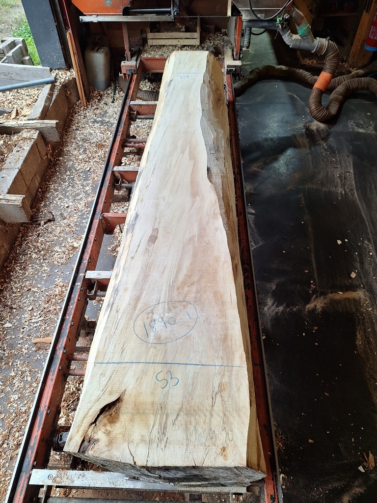 Plateau Marronnier 63 x 210-530 x 3020 mm de la boule 1890 - 1