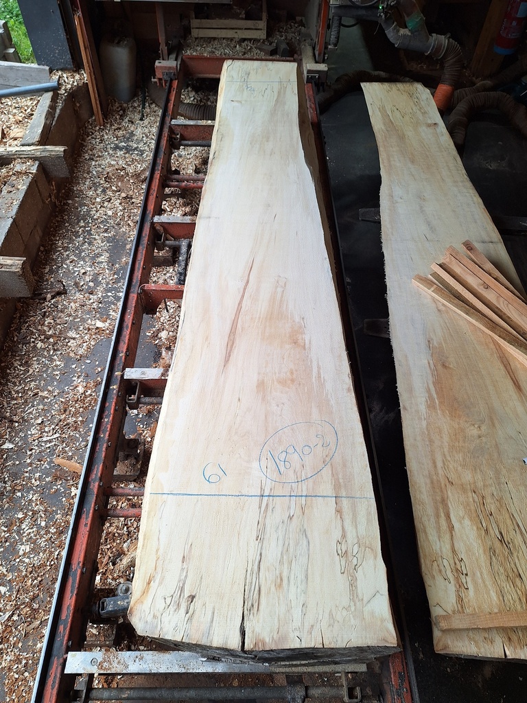 Plateau Marronnier 63 x 400-610 x 3020 mm de la boule 1890 - 2