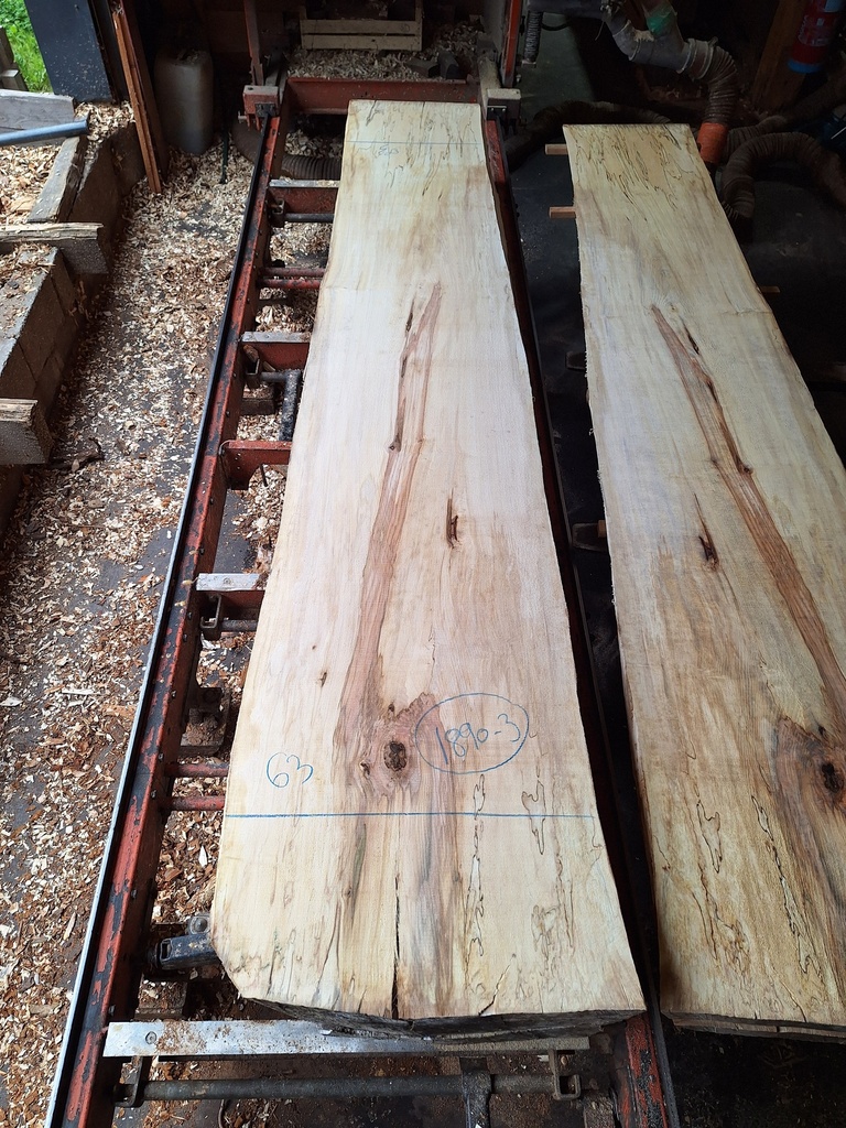 Plateau Marronnier 63 x 480-630 x 3020 mm de la boule 1890 - 3