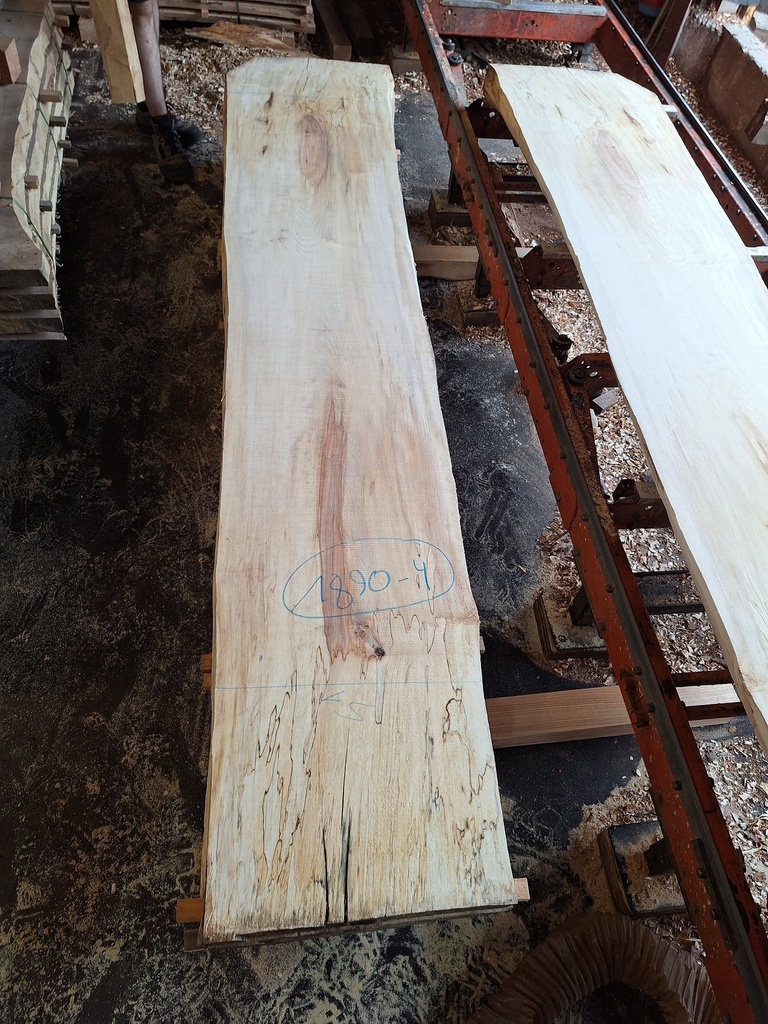 Plateau Marronnier 63 x 500-510 x 3020 mm de la boule 1890 - 4