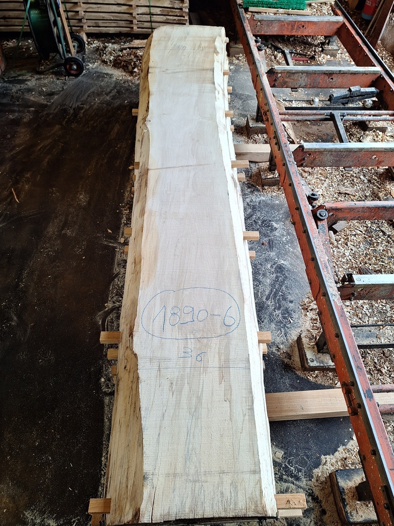 Plateau Marronnier 63 x 360-440 x 3020 mm de la boule 1890 - 6