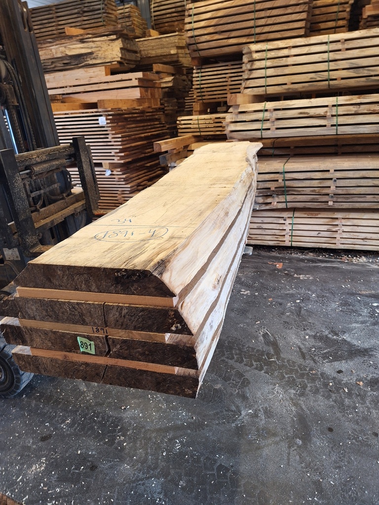 Boule Marronnier - 1891