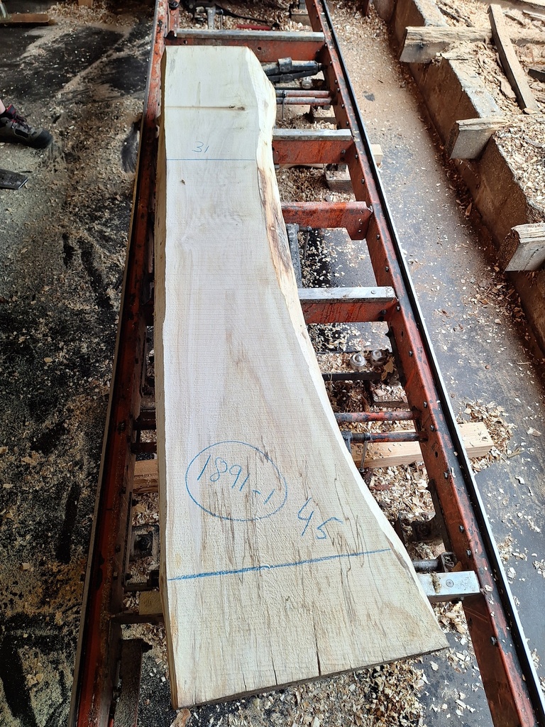 Plateau Marronnier 63 x 310-450 x 2350 mm de la boule 1891 - 1