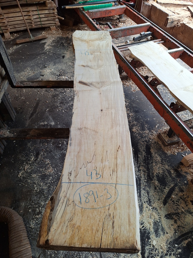 [PL-MAR-1891-3] Plateau Marronnier 63 x 420-430 x 2350 mm de la boule 1891 - 3