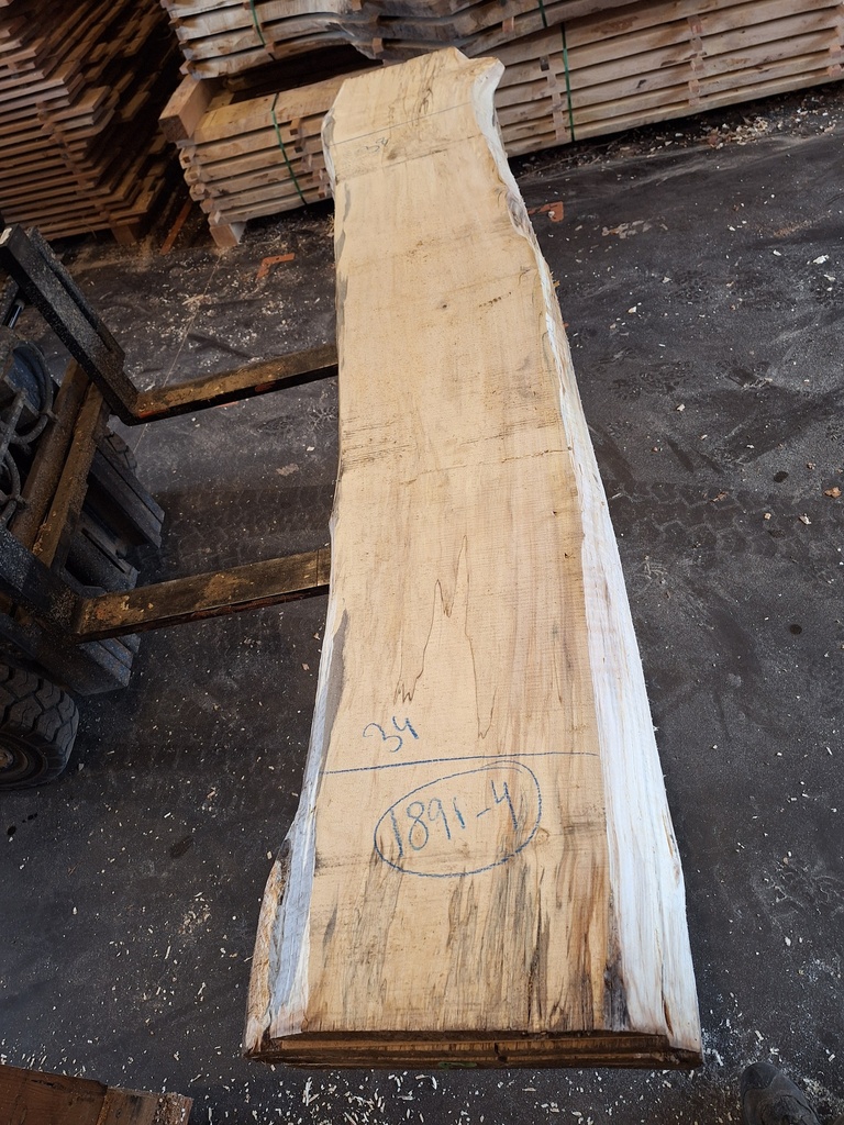 Plateau Marronnier 63 x 340-380 x 2350 mm de la boule 1891 - 4