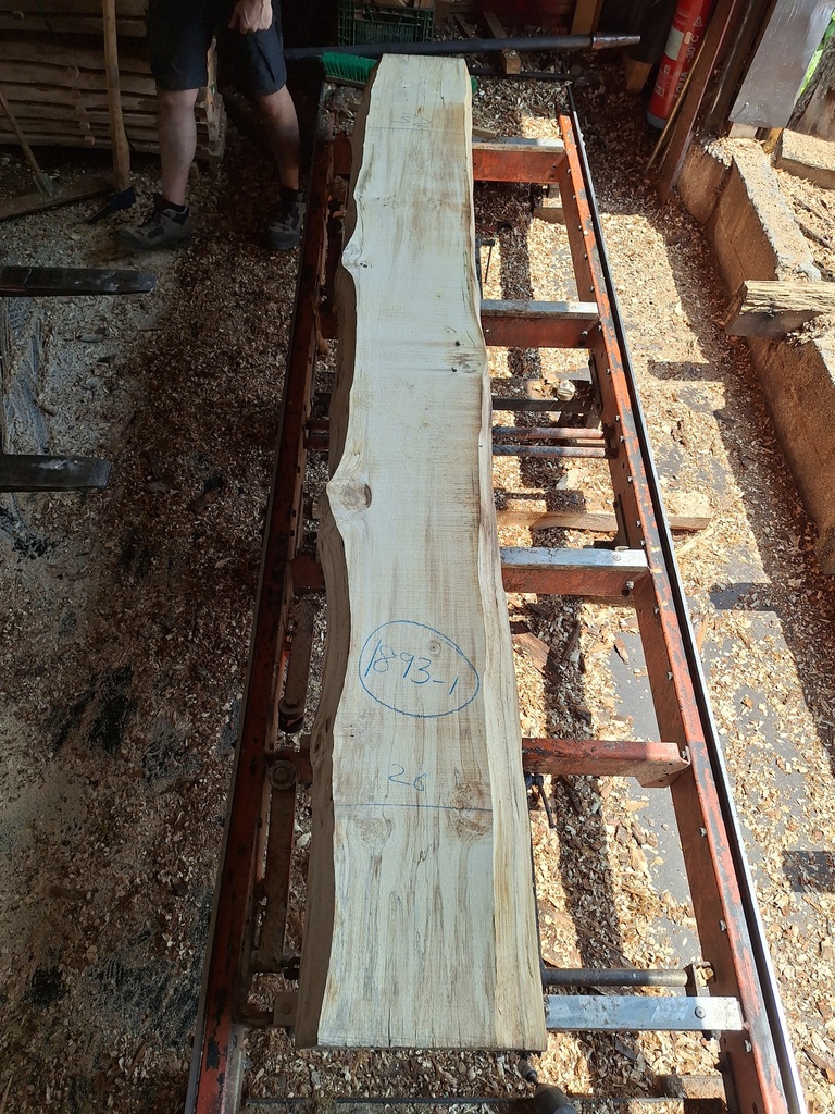 Plateau Marronnier 53 x 260-320 x 2970 mm de la boule 1893 - 1