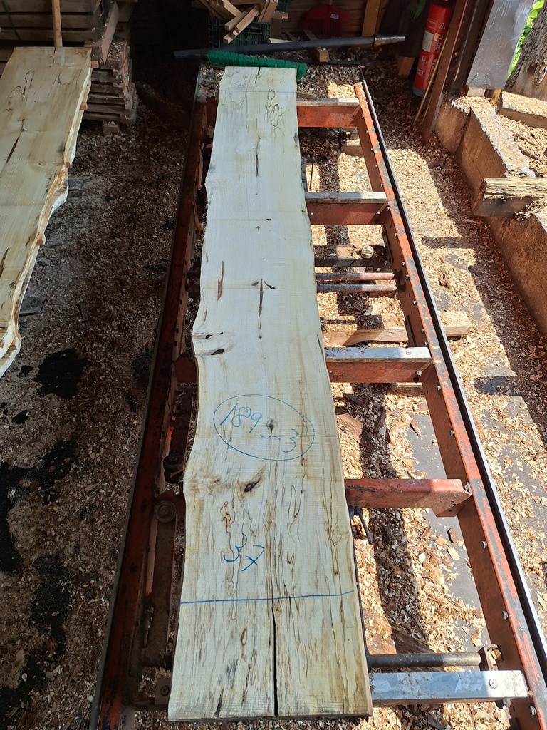 Plateau Marronnier 53 x 370-400 x 2970 mm de la boule 1893 - 3