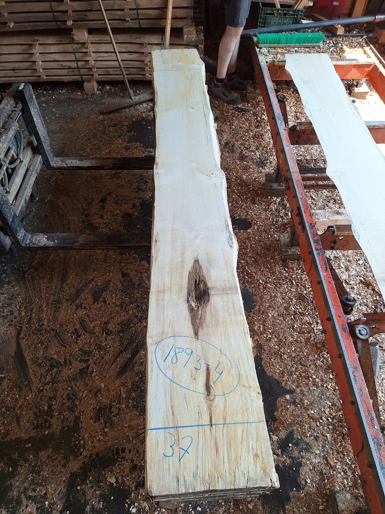 Plateau Marronnier 53 x 360-370 x 2970 mm de la boule 1893 - 4